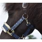 Limited Edition Leopard Halter Epplejeck Dark Blue