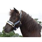 Limited Edition Leopard Halter Epplejeck Dark Blue