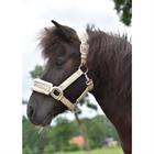 Limited Edition Leopard Halter Epplejeck Gold