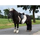 Limited Edition Leopard Print Horse Boots Epplejeck Gold