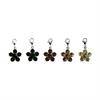 Lucky Charm Kentucky Flower 5-pack Green