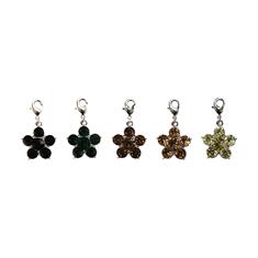 Lucky Charm Kentucky Flower 5-pack Green