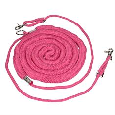 Lunging Aid Epplejeck Colour