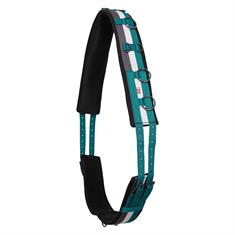 Lunging Girth Imperial Riding IRHDeluxe Turquoise