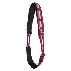 Lunging Surcingle Imperial Riding Neon