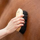Magnet Dandy Brush QHP Black