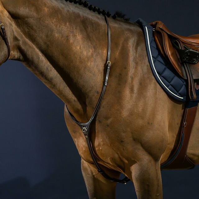 Martingal Yoke D Collection by Dy'on Brown