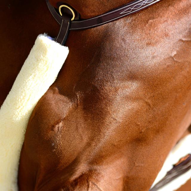 Martingale Cover Kentucky Natural