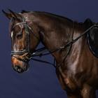 Martingale Dy'on Full Howlett Working By Dy'on Black