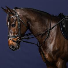 Martingale Dy'on Full Howlett Working By Dy'on Black