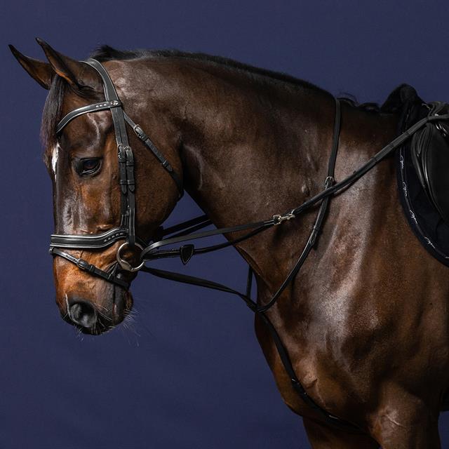 Martingale Dy'on Full Howlett Working By Dy'on Black