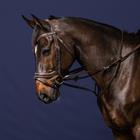 Martingale Dy'on Full Howlett Working By Dy'on Brown