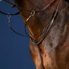 Martingale Dy'on US Hunter Collection Brown