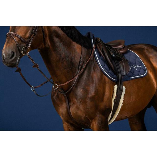 Martingale Dy'on US Hunter Collection Brown