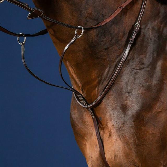 Martingale Dy'on US Hunter Collection Brown