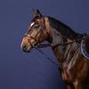 Martingale Fork Dy'on Howlett New English Collection Brown
