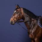 Martingale Fork Dy'on Howlett New English Collection Brown