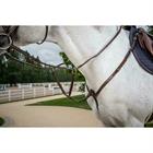 Martingale Fork Dy'on US Hunter Collection Brown