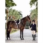 Martingale LeMieux Hunter Standing Brown-Silver