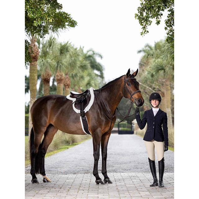 Martingale LeMieux Hunter Standing Brown-Silver