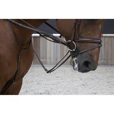 Martingale LJ Leathers Pro Selected Full Jump Assistent Brown