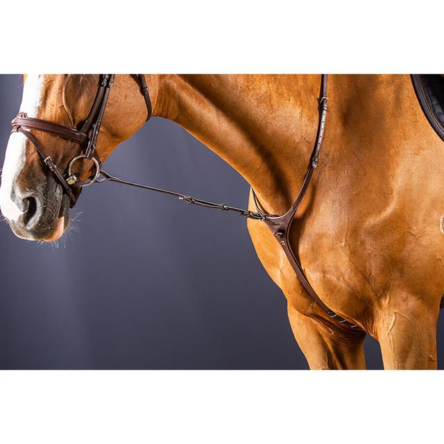 Martingale Standing Dy'on New English Collection Brown