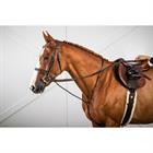Martingale Standing Dy'on US Hunter Collection Brown