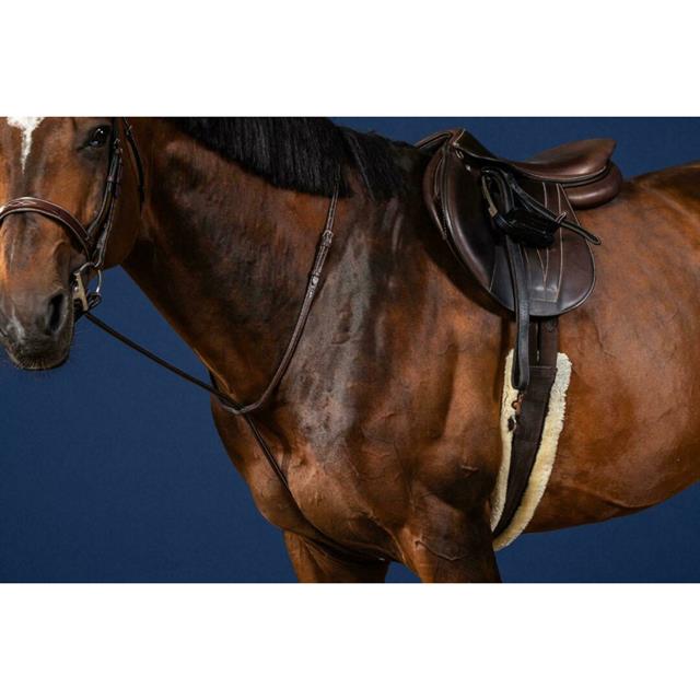 Martingale Standing Dy'on US Hunter Collection Brown