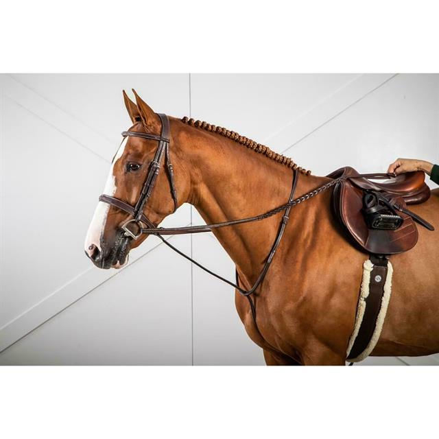 Martingale Standing Dy'on US Hunter Collection Brown