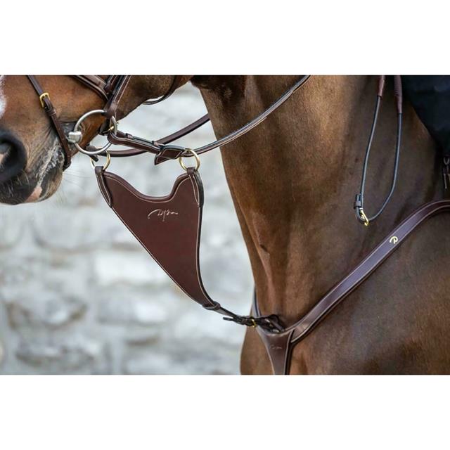 Martingalgabel Geschlossen Fest D Collection by Dy'on Brown