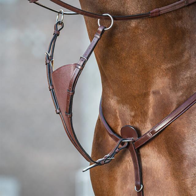 Martingalgabel Geschlossen Soft New English Collection Dy'on Brown