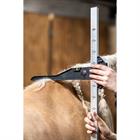 Measuring Stick HORSEGEAR HGAluminium Multicolour