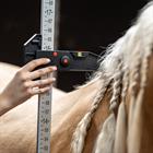 Measuring Stick HORSEGEAR HGAluminium Multicolour