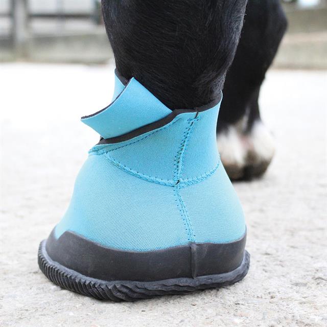 Medical Hoof Boot Blue