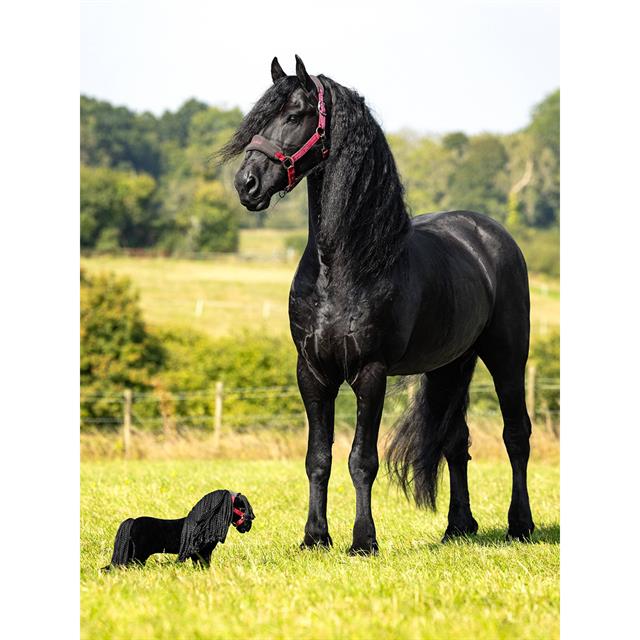 Mini Toy Pony LeMieux Spike Black