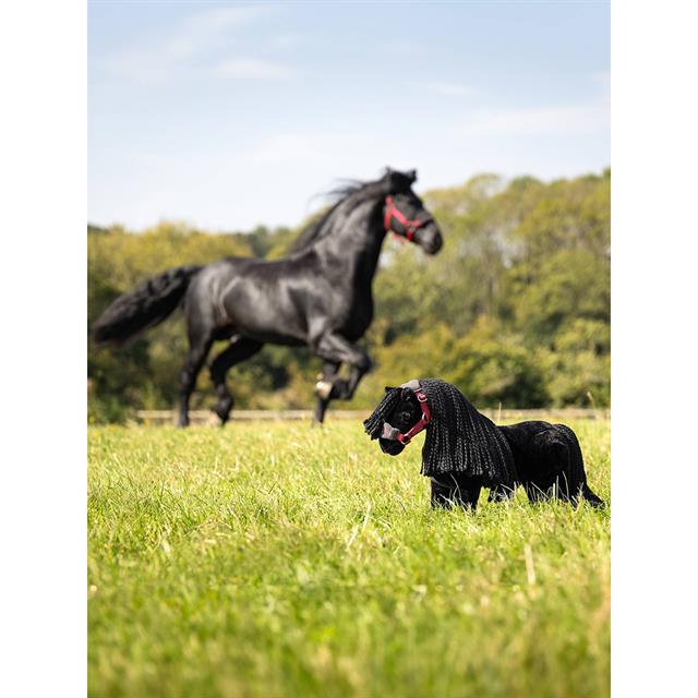 Mini Toy Pony LeMieux Spike Black