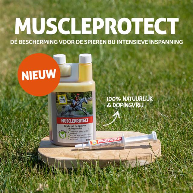 MUSCLEPROTECT+ VITALSTYLE Multicolour