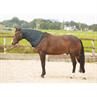 Neck Cover Harry's Horse Thor 200gr Grey