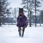 Neck Piece Horsegear Extreme 150gr Purple-Blue