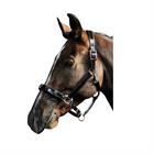 Nose Net Harry's Horse Black
