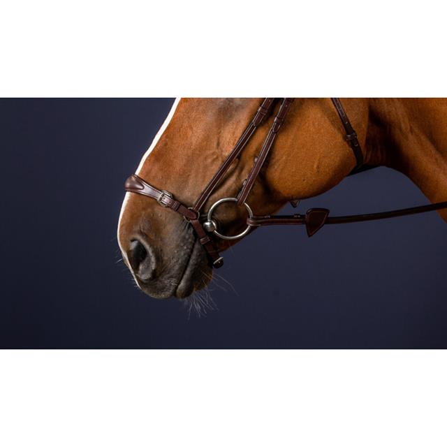 Noseband Dy'on Adjustable Drop New English Collection Brown