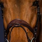 Noseband Dy'on Anatomic Flash New English Collection Brown