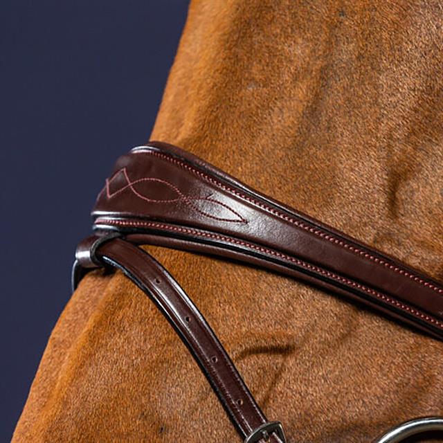 Noseband Dy'on Anatomic Flash New English Collection Brown