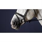 Noseband Dy'on Flash With Removable Sper New English Collection Black