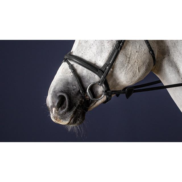 Noseband Dy'on Flash With Removable Sper New English Collection Black