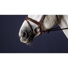 Noseband Dy'on Flash With Removable Sper New English Collection Brown