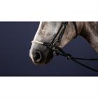 Noseband Dy'on Low Noseband Rope New English Collection Black