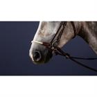 Noseband Dy'on Low Noseband Rope New English Collection Brown