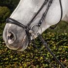 Noseband Dy'on Matte Large Dressage Collection Black