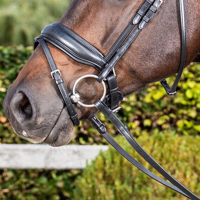 Noseband Dy'on Matte Large Dressage Collection Black